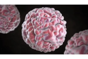 What Is Norovirus?